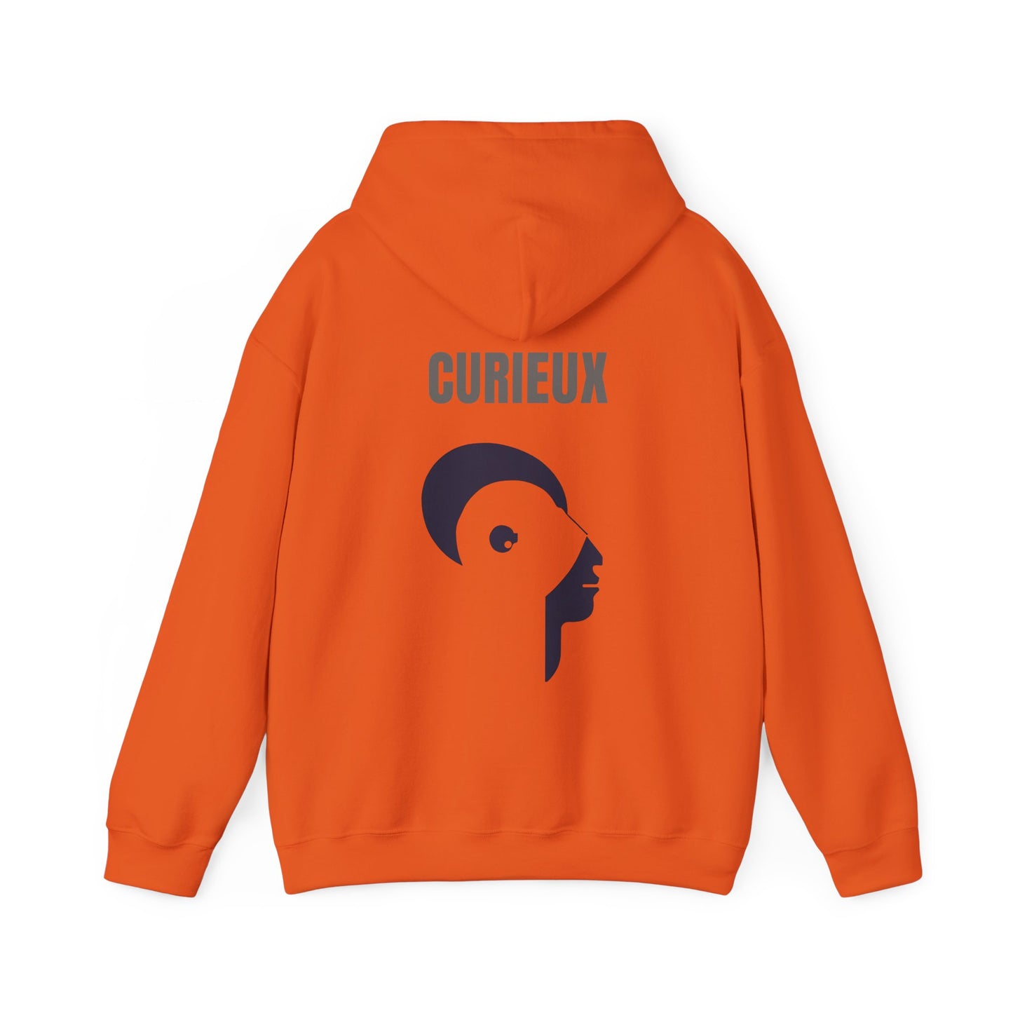 Sweatshirt CURIEUX