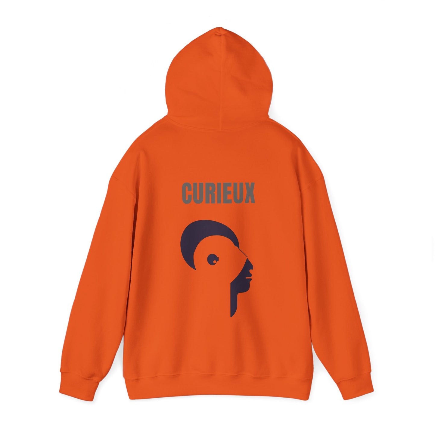 Sweatshirt CURIEUX